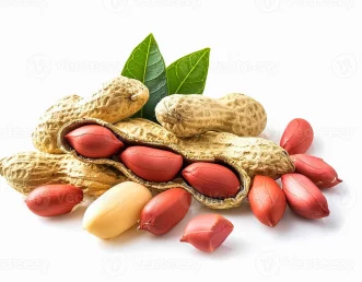 Groundnut Seeds - મગફળી પાક