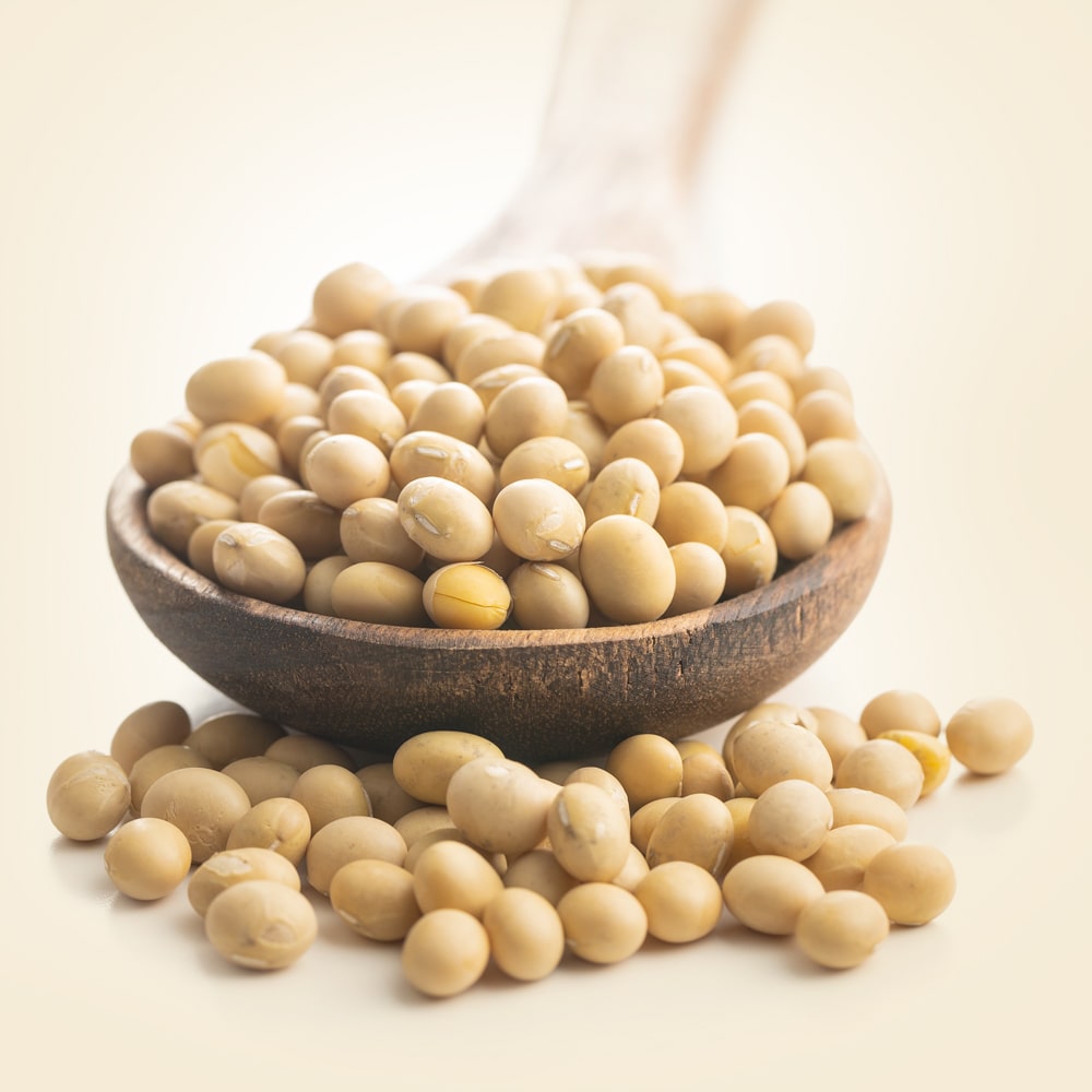 Soyabean