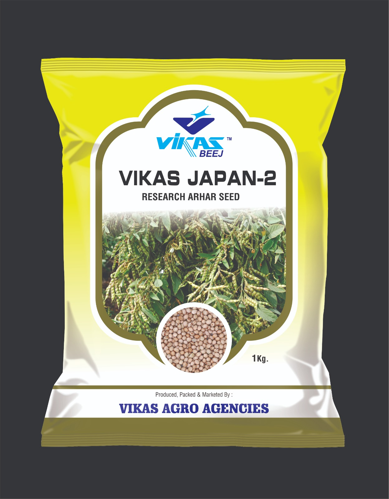 Vikas Japan-2