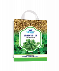 Sanvi-11